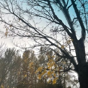 Meet your Posher, Salma